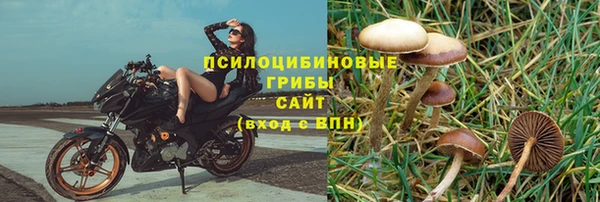 прущие крисы Алексеевка
